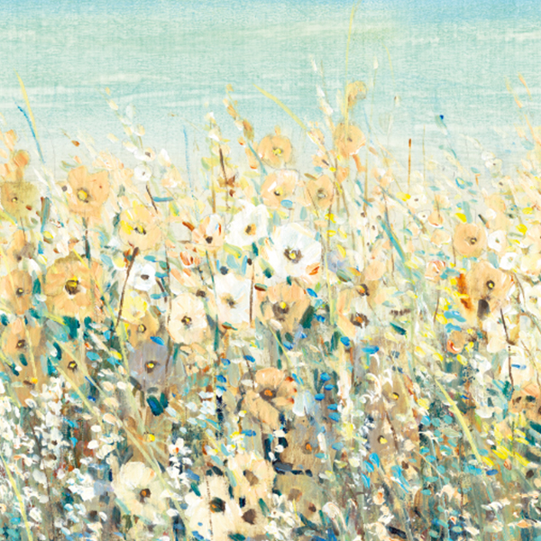 Tim O’Toole — artwork