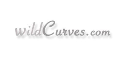 Wild Curves
